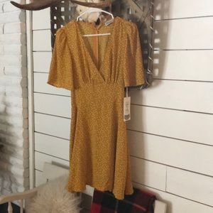 Size small Vici collection polka dot dress